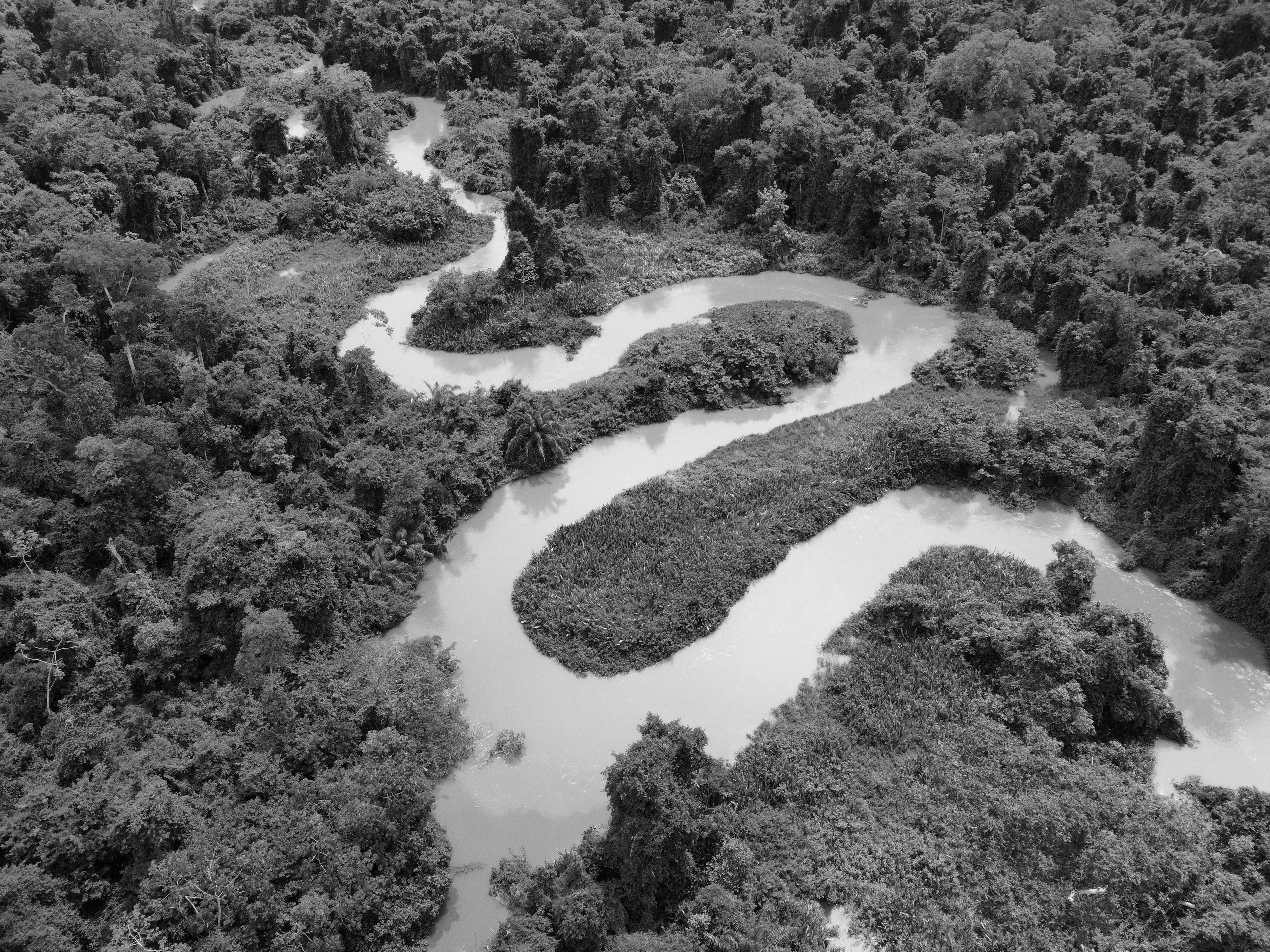 Ambiental